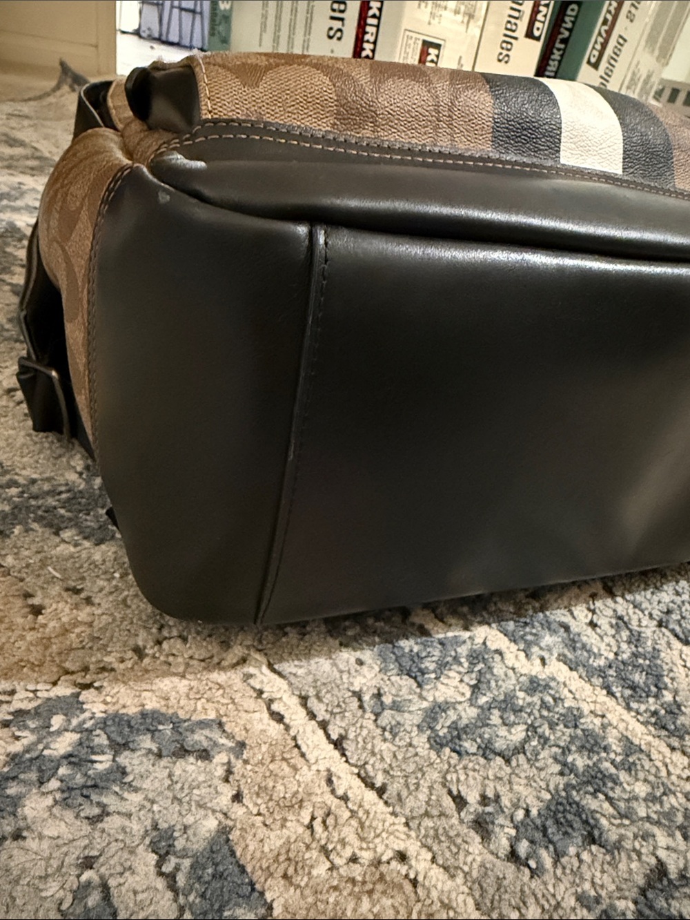 Coach Signature Monogram Brown Stripe Men's Backpack - Picture 7 of 12